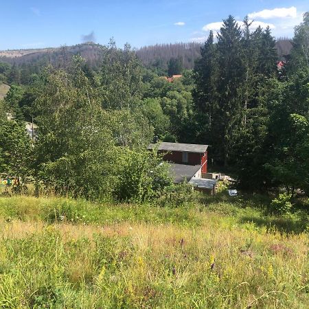 Ferienhaus Am Hahnenkopf Rubeland Ngoại thất bức ảnh