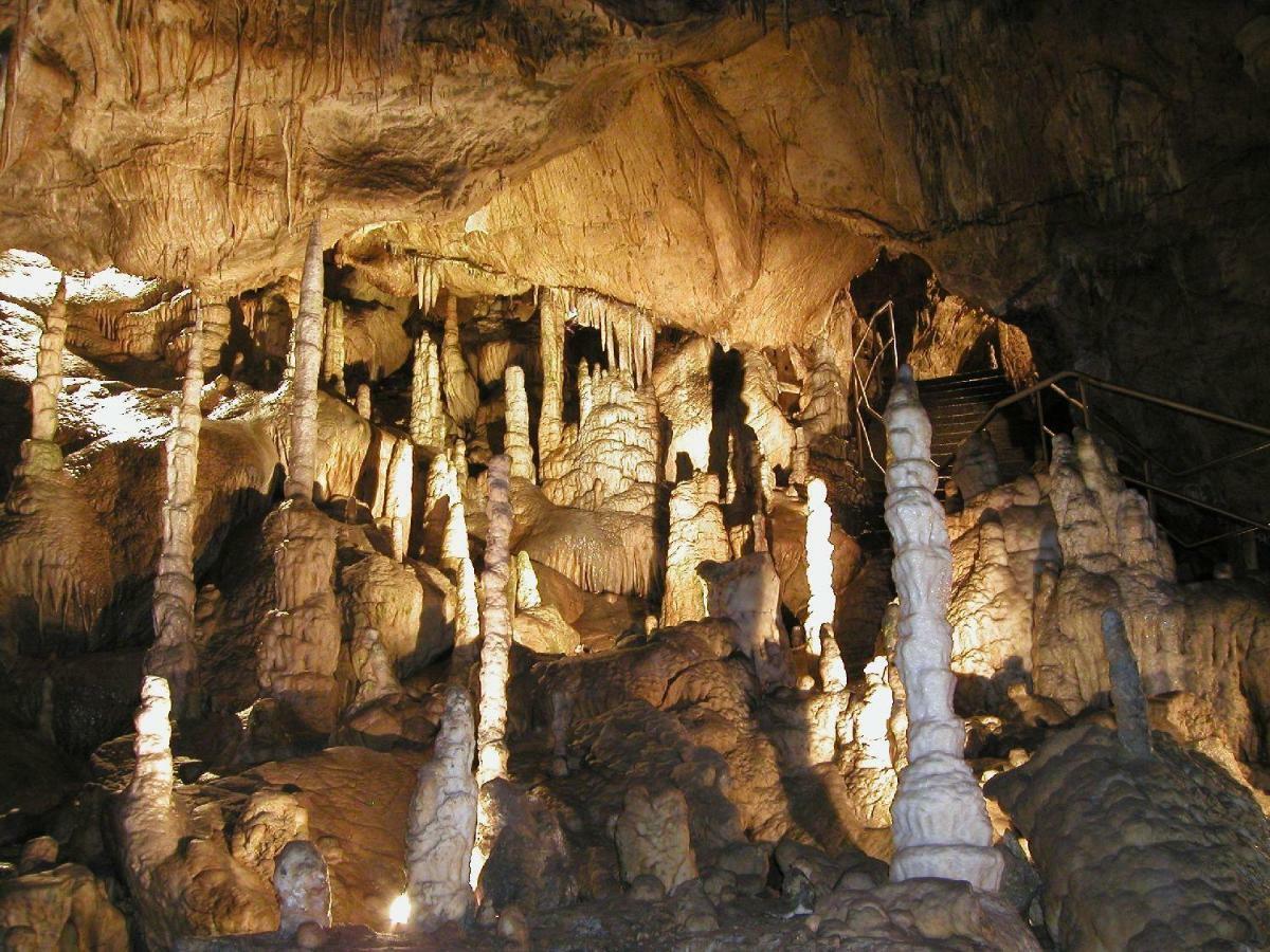 Ferienhaus Am Hahnenkopf Rubeland Ngoại thất bức ảnh